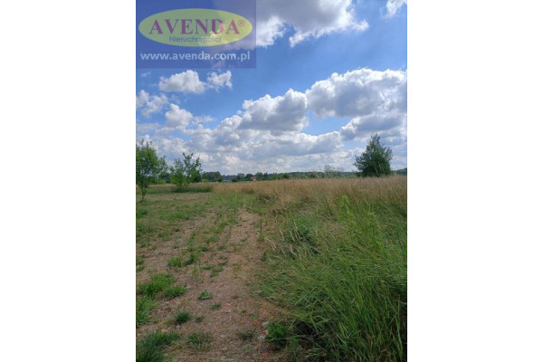 grodziski, Jaktorów, Budy Grzybek, Potockiego, Działka budo. w Budach Grzybek c. 200 zł/m2