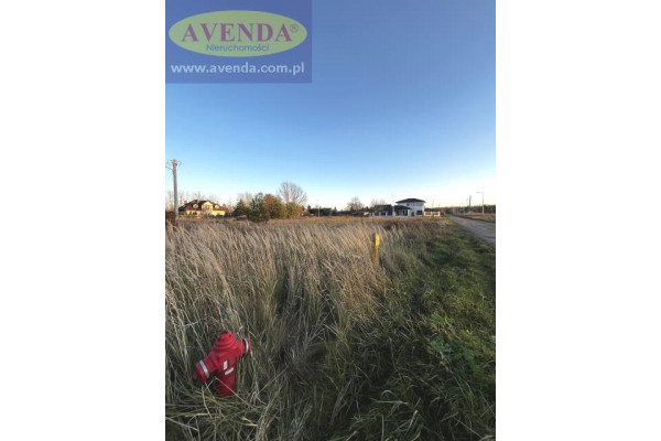 żyrardowski, Wiskitki, Działki, Dębowa, SPRZEDANA!!!!!!!