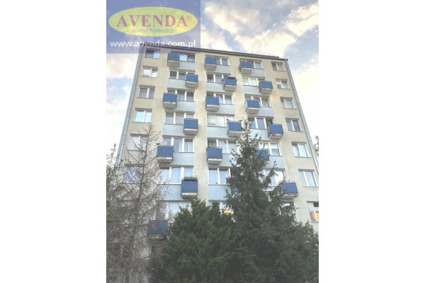 mazowieckie, Warszawa, Brazylijska, Do wynajęcia 2-pokojowe 39 m2 Warszawa Saska Kępa.